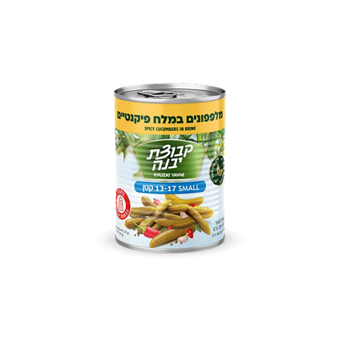 Kvuzat Yavne Cucumbers in Brine 13-17 19oz