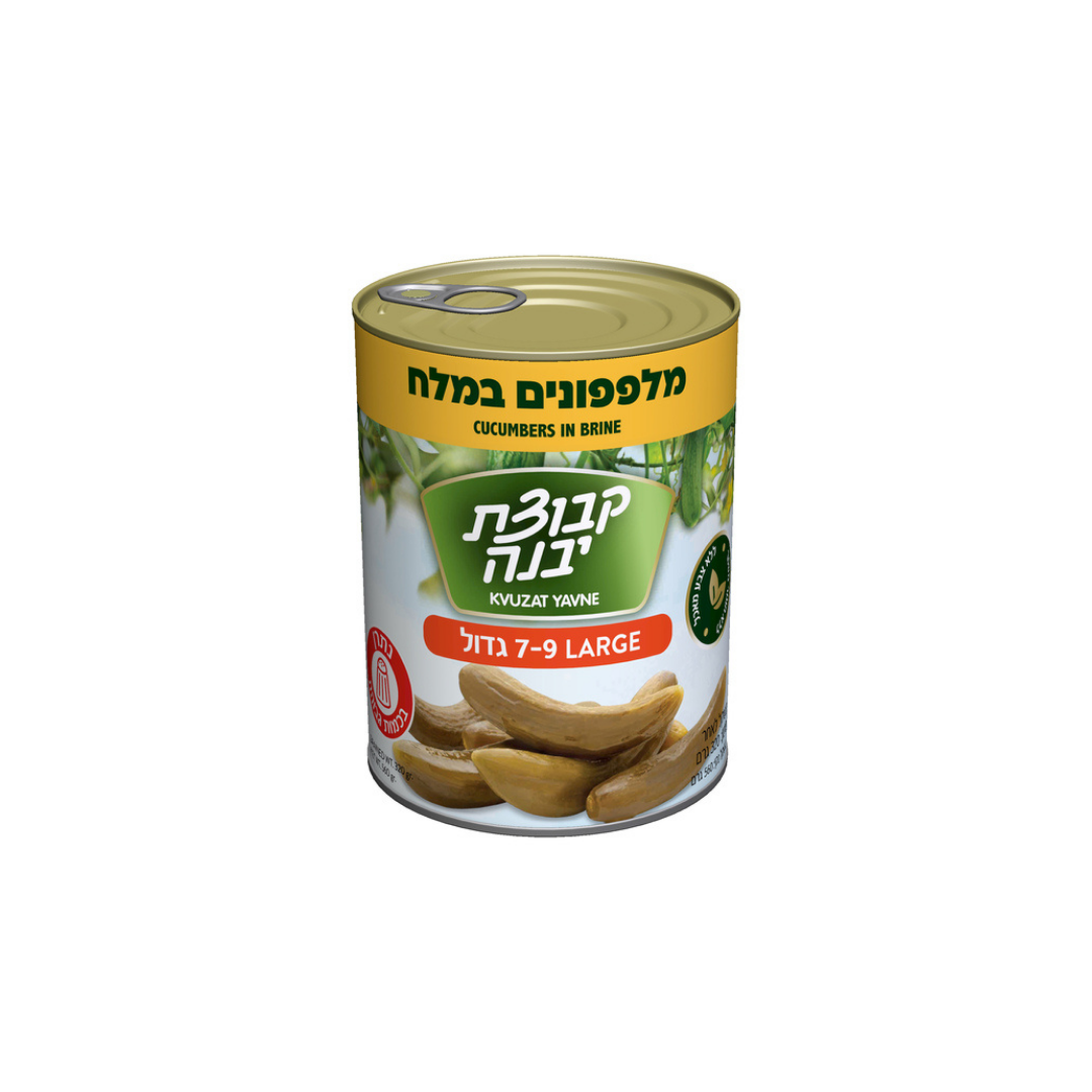 Kvuzat Yavne Cucumbers in Brine 7-9 19oz