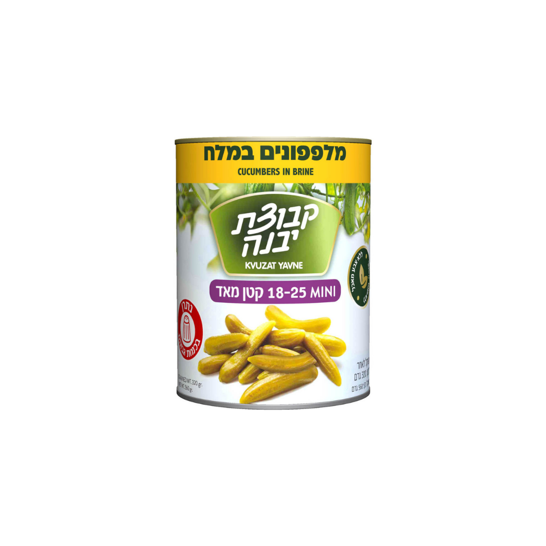 Kvuzat Yavne Cucumbers in Brine 18-25 19oz