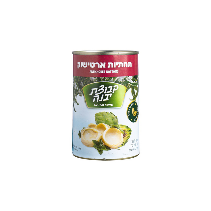 Kvuzat Yavne Artichoke Bottoms 15.1oz